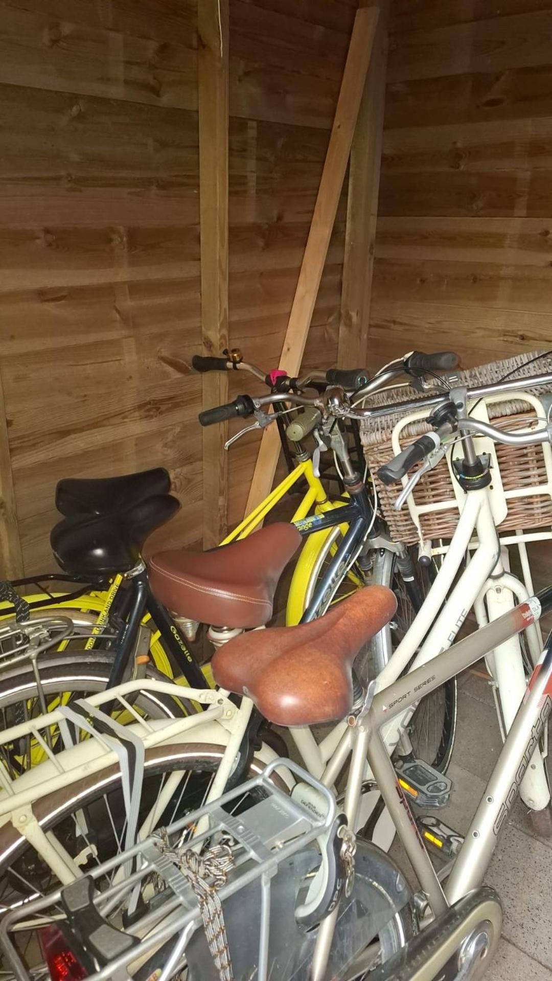 Chalet T12 Op Ameland Inclusief Fietsen, Zee En Strand Op Loopafstand! Buren  Exterior foto